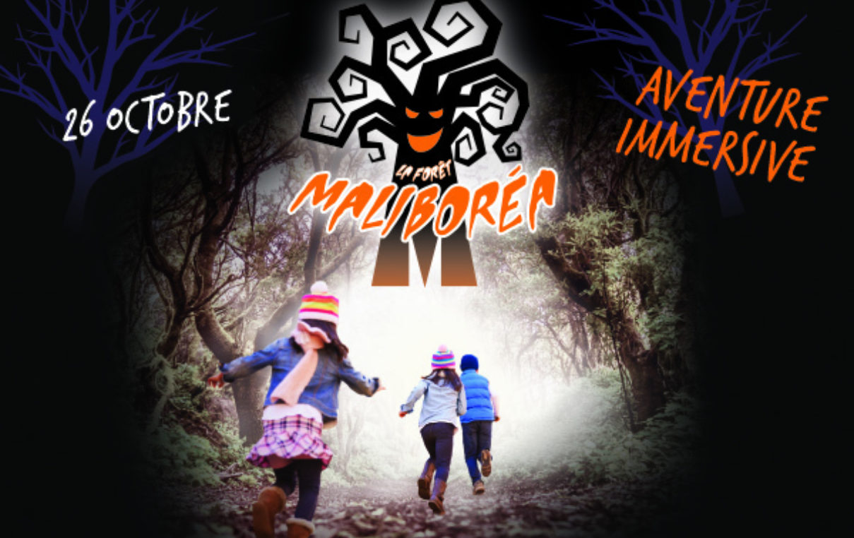 Maliborea Web 600 X400 V1