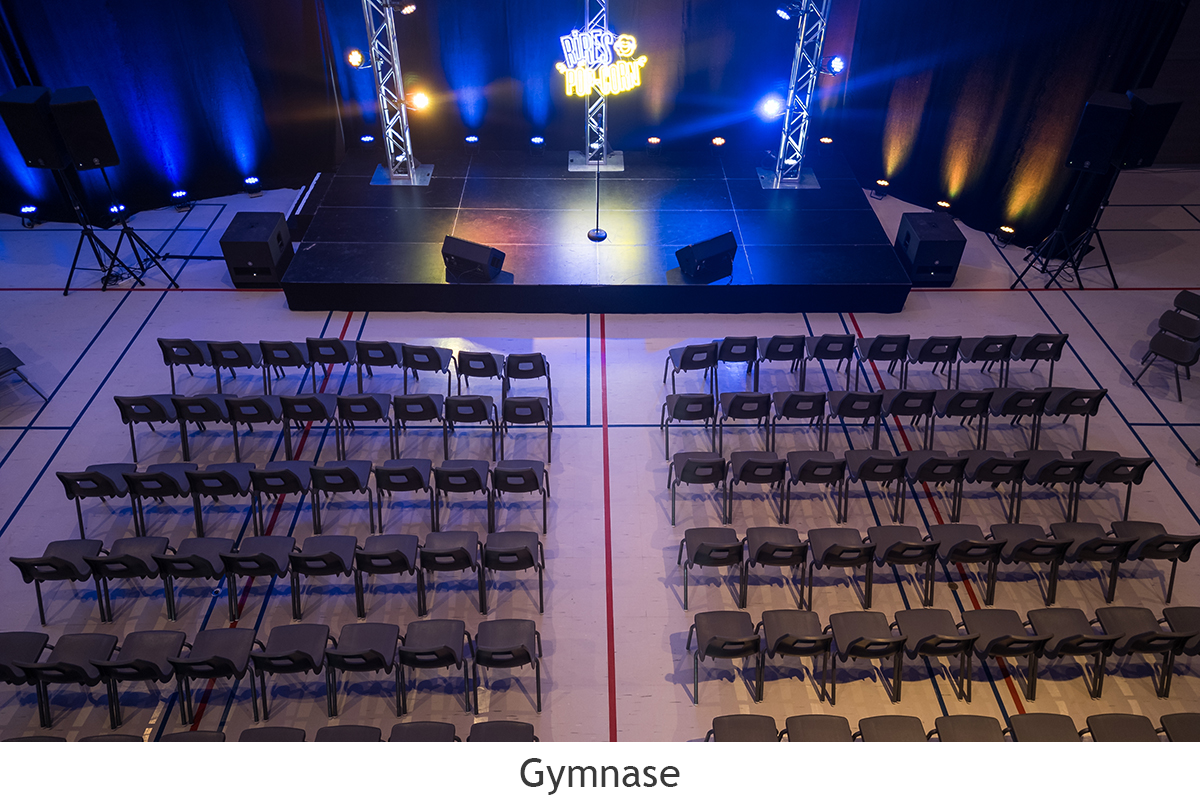 Img Gymnase Spectacle 2